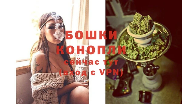 СК Верея