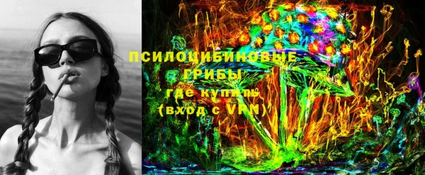 СК Верея
